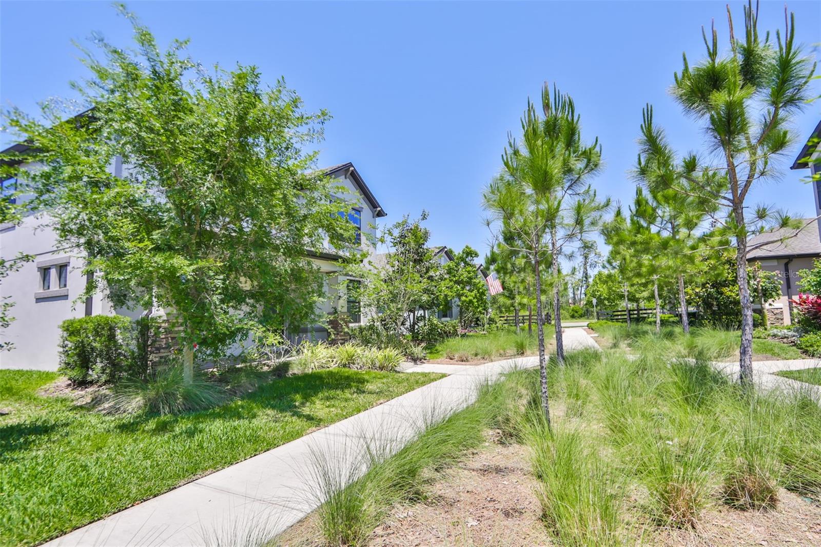 3044 ABRAMS TRL, ODESSA, FL, 33556