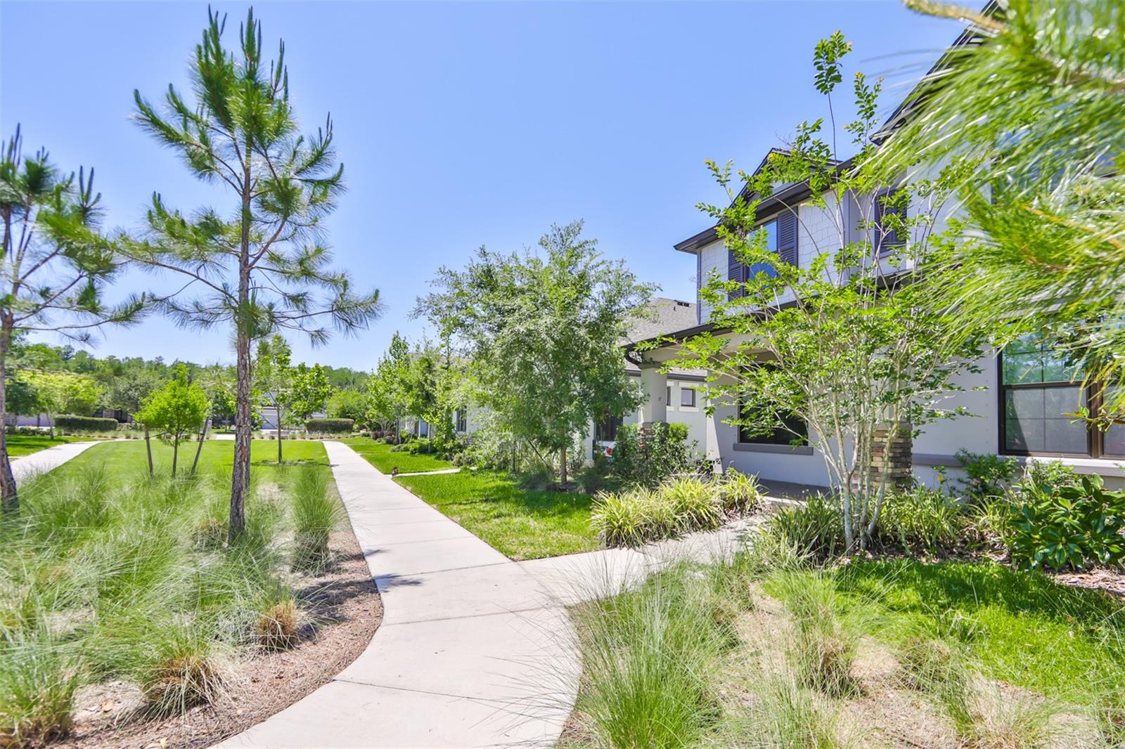 3044 ABRAMS TRL, ODESSA, FL, 33556