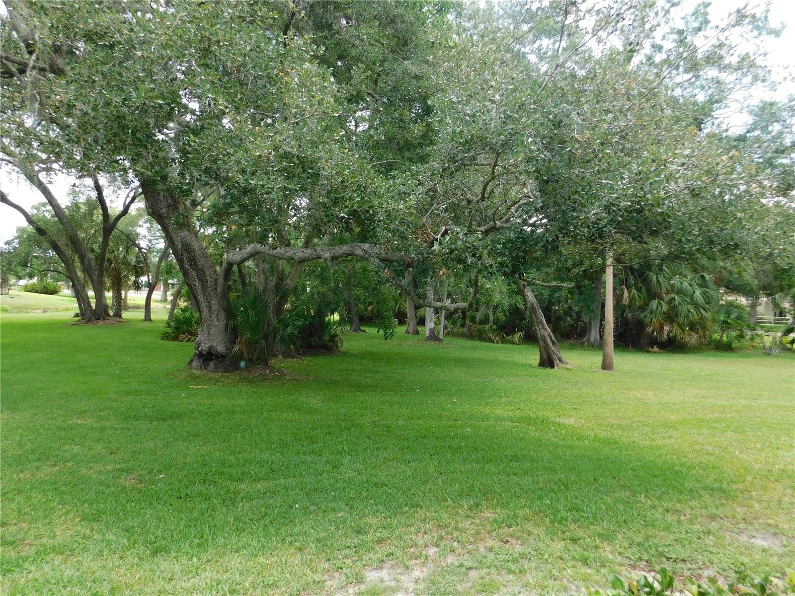 1400 TARPON WOODS BLVD #1-4, PALM HARBOR, FL, 34685