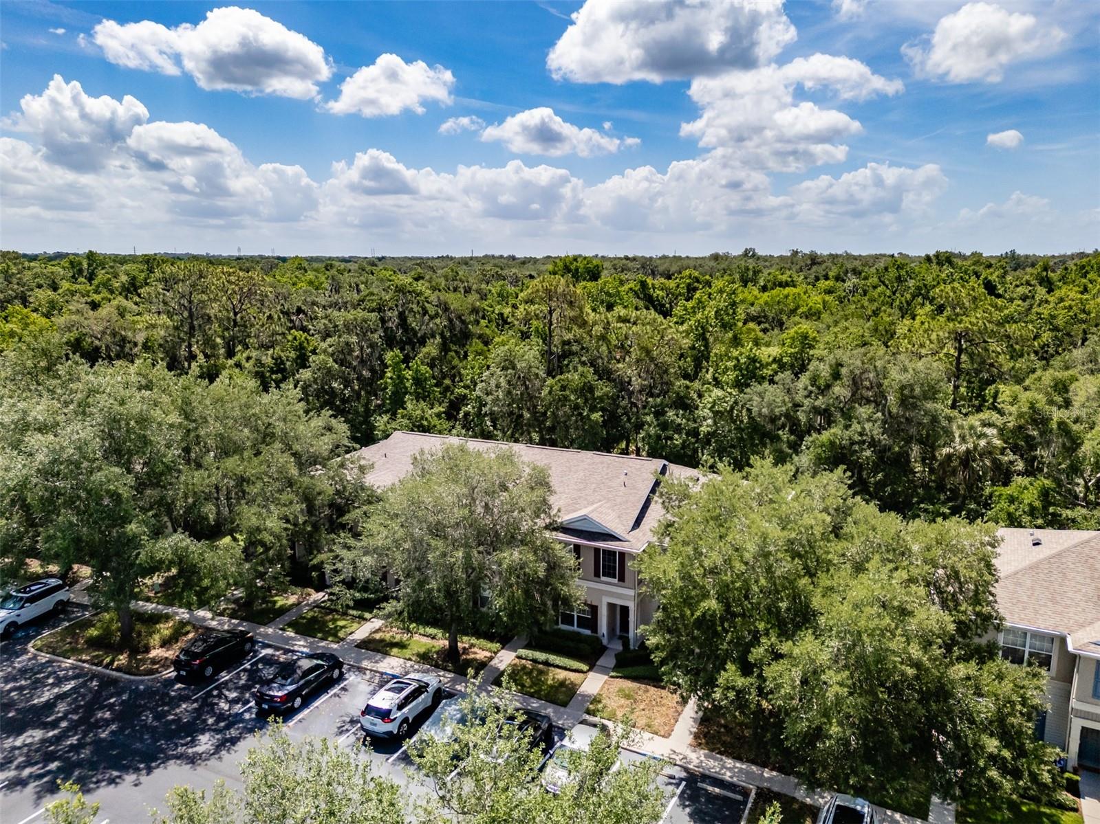 15911 FISHHAWK VIEW DR, LITHIA, FL, 33547