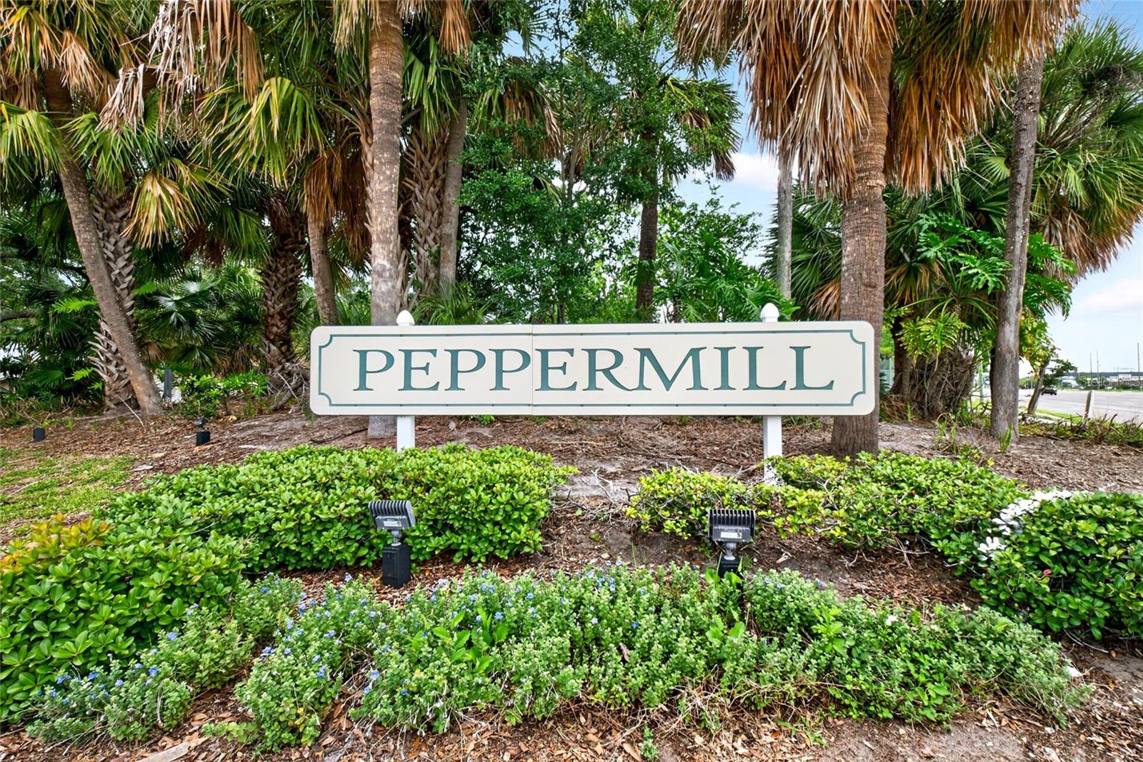 12022 PICALILLI ST, ORLANDO, FL, 32837