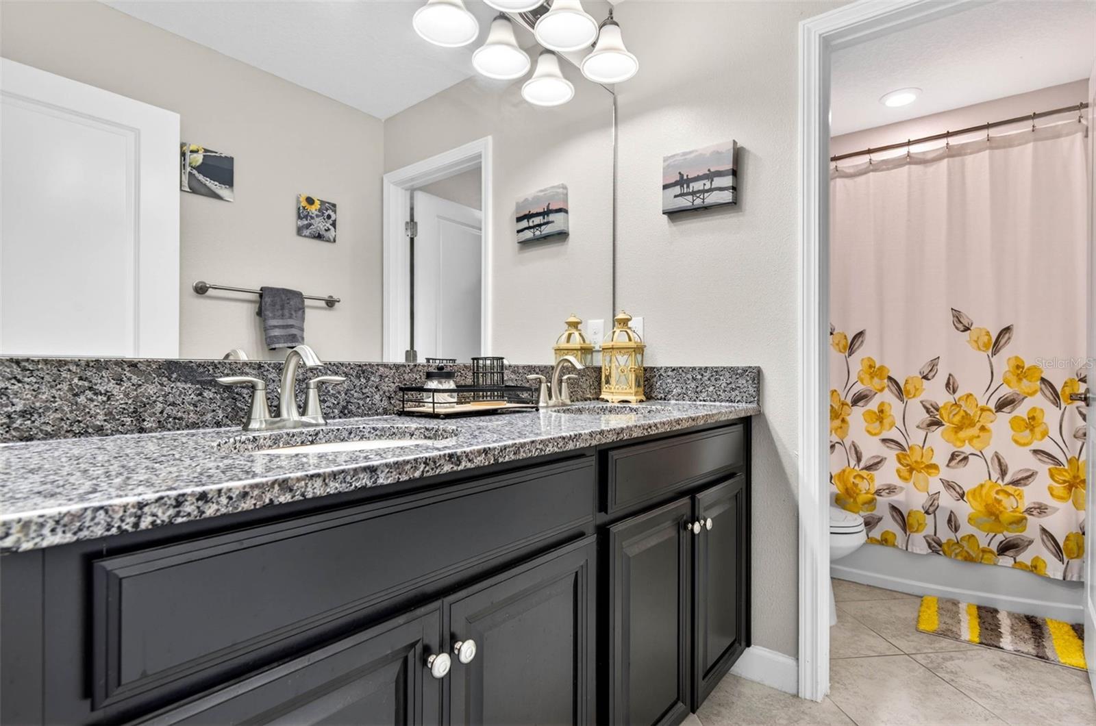 13242 SATIN LILY DR, RIVERVIEW, FL, 33579
