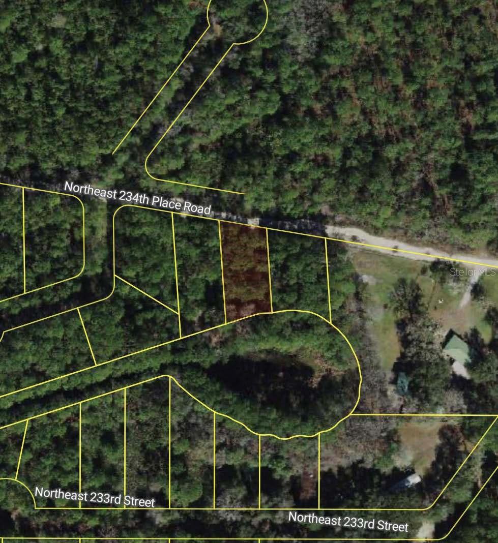 NE 234TH PLACE RD, FORT MC COY, FL, 32134