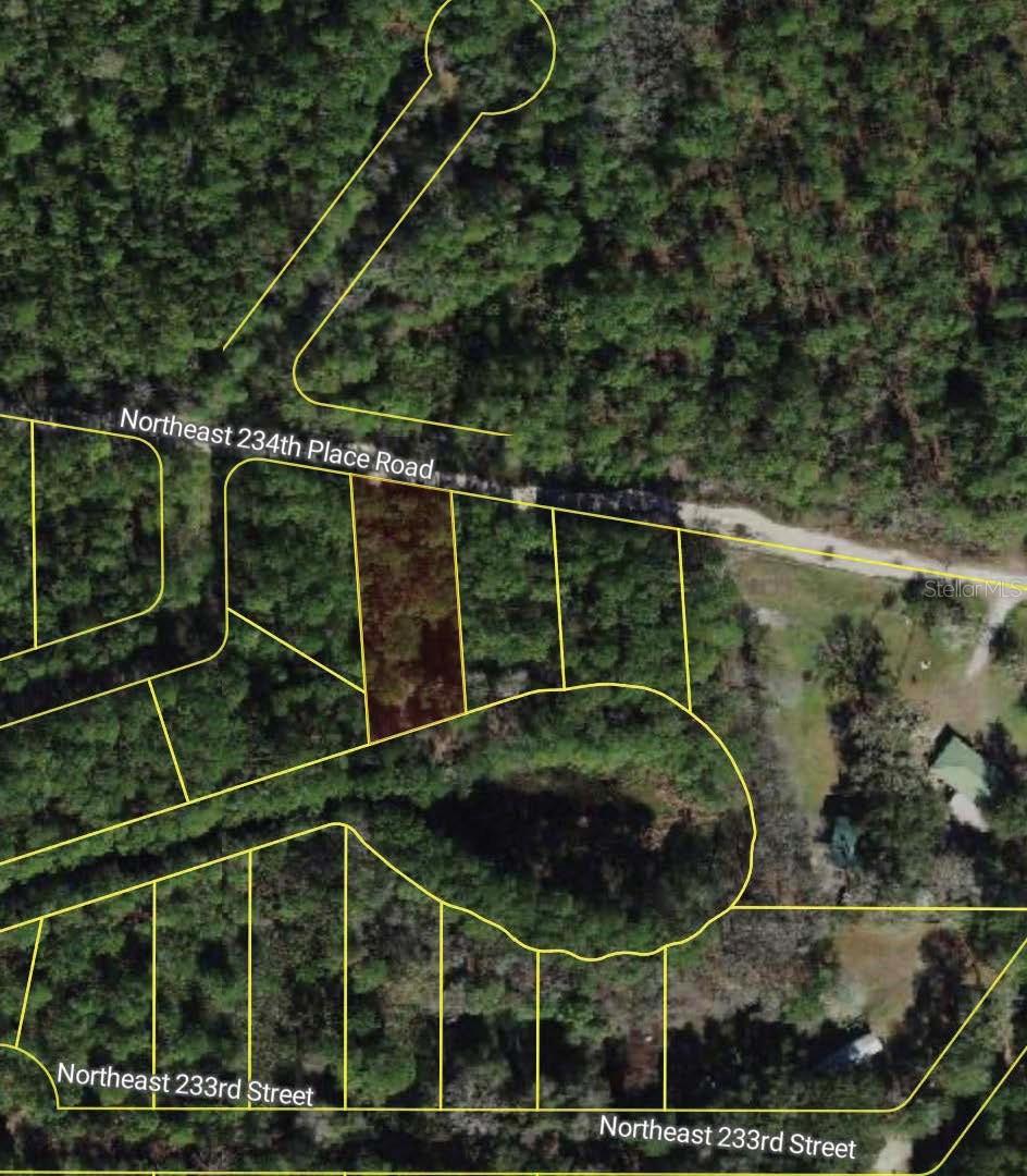 NE 234TH PLACE RD, FORT MC COY, FL, 32134