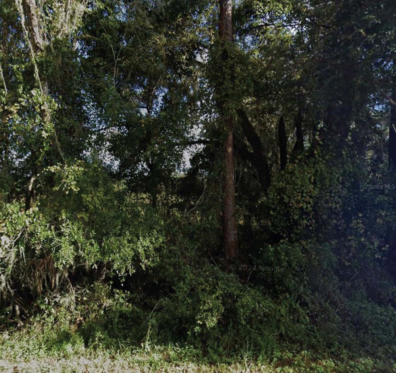 NE 234TH PLACE RD, FORT MC COY, FL, 32134