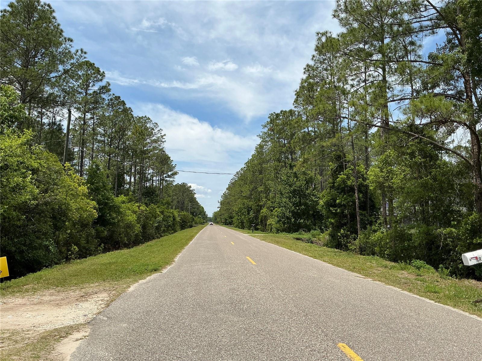 4430 VICKI ST, HASTINGS, FL, 32145