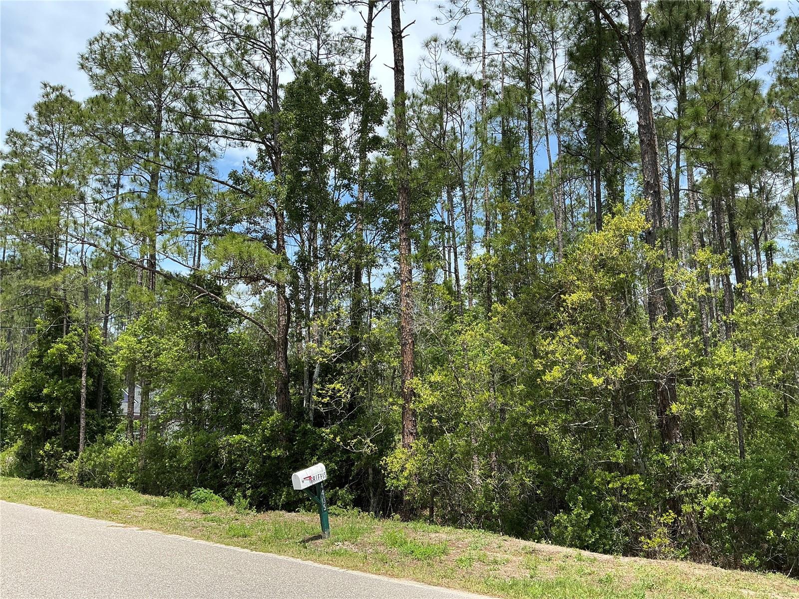 4430 VICKI ST, HASTINGS, FL, 32145