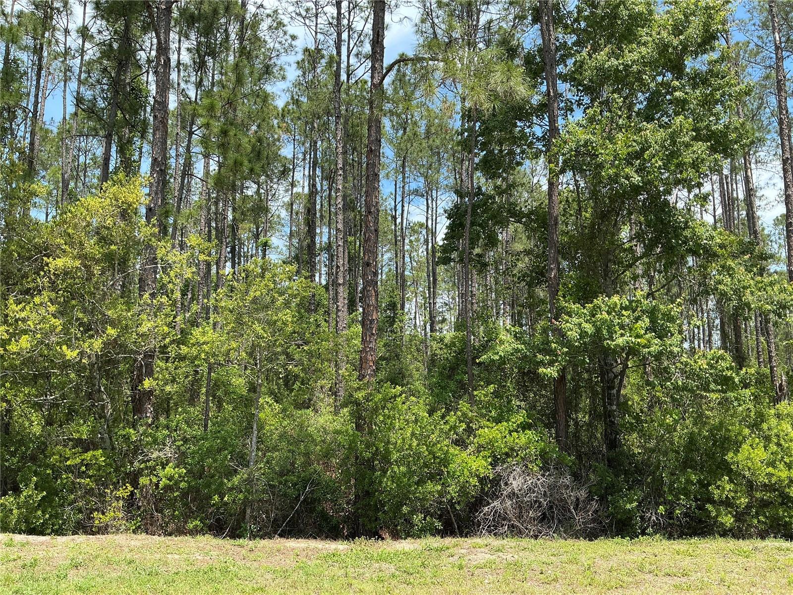 4430 VICKI ST, HASTINGS, FL, 32145