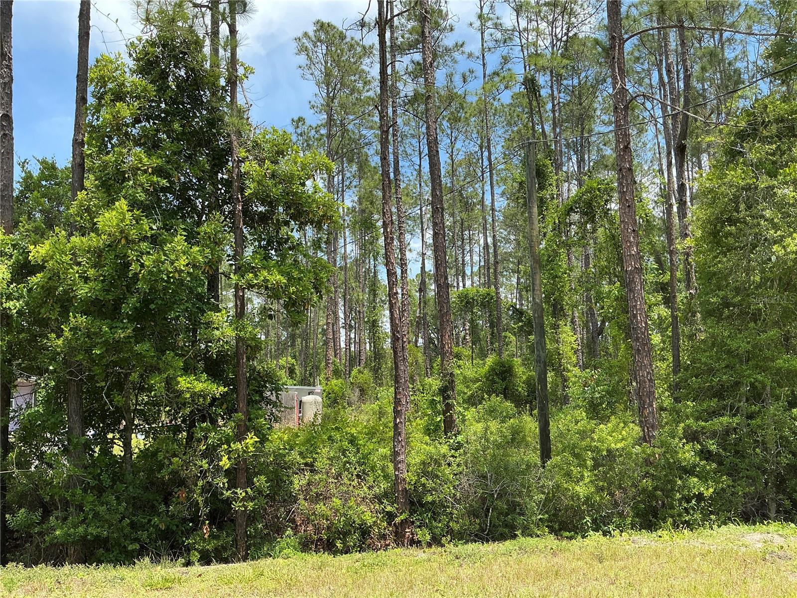 4430 VICKI ST, HASTINGS, FL, 32145