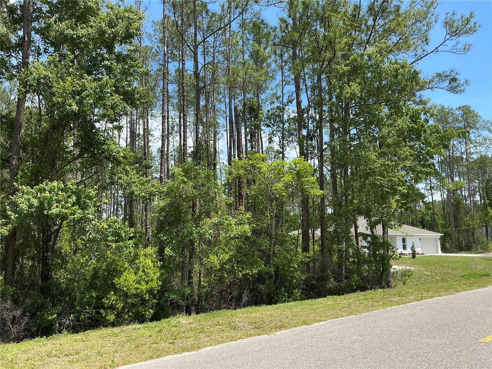 4430 VICKI ST, HASTINGS, FL, 32145