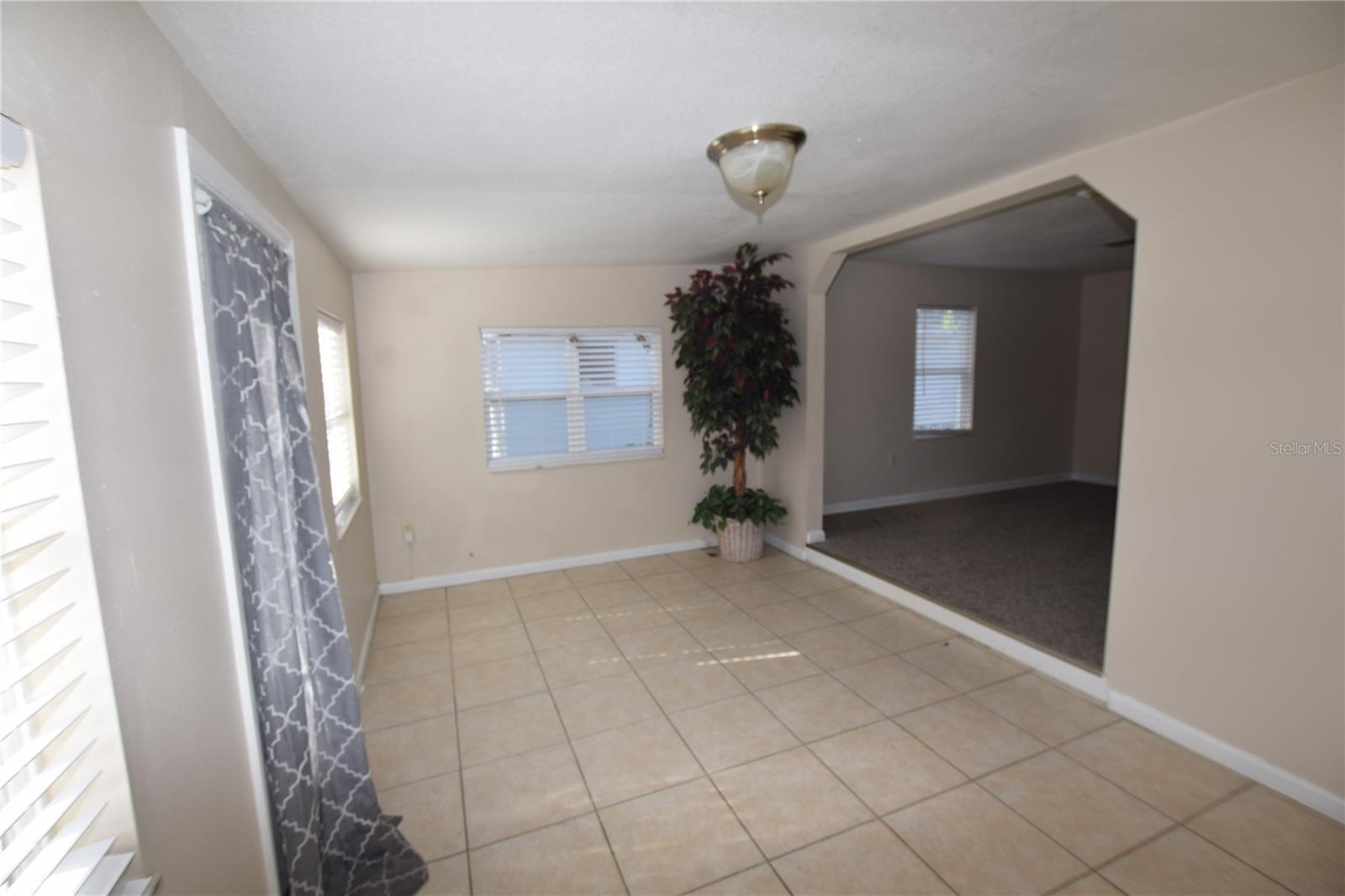 317 E BARNES AVE, EUSTIS, FL, 32726
