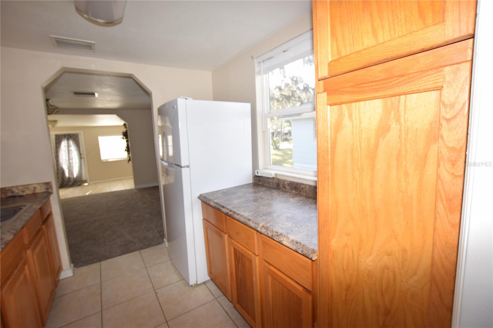 317 E BARNES AVE, EUSTIS, FL, 32726