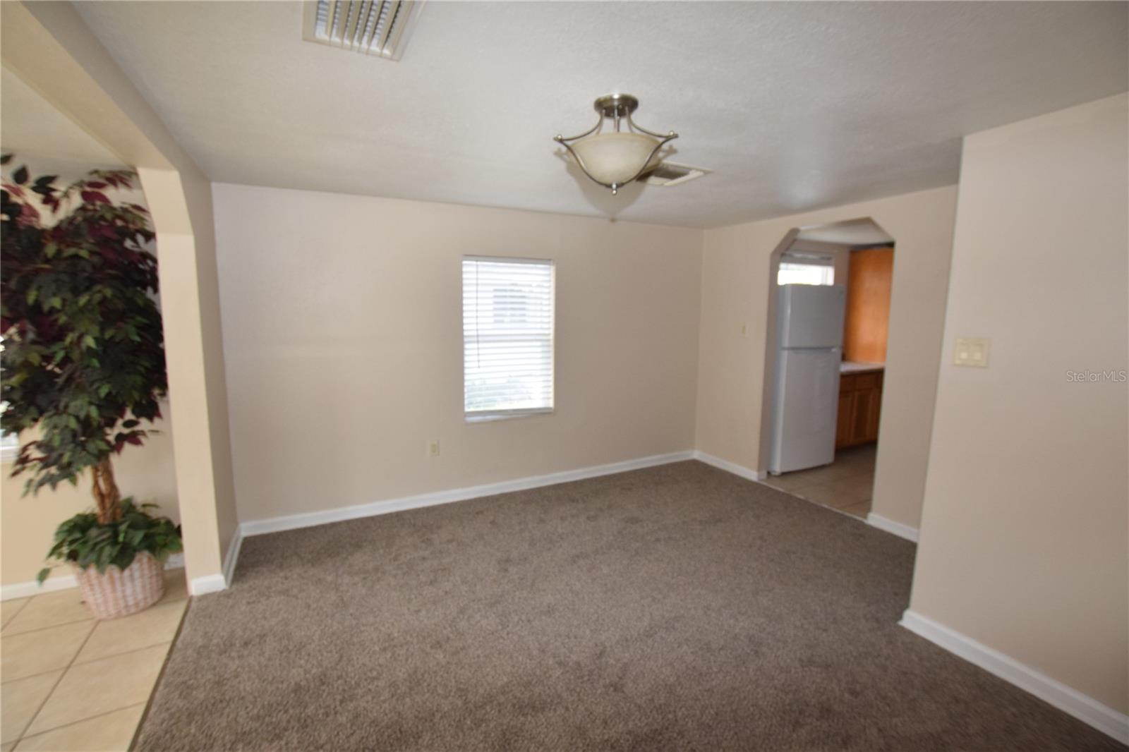 317 E BARNES AVE, EUSTIS, FL, 32726