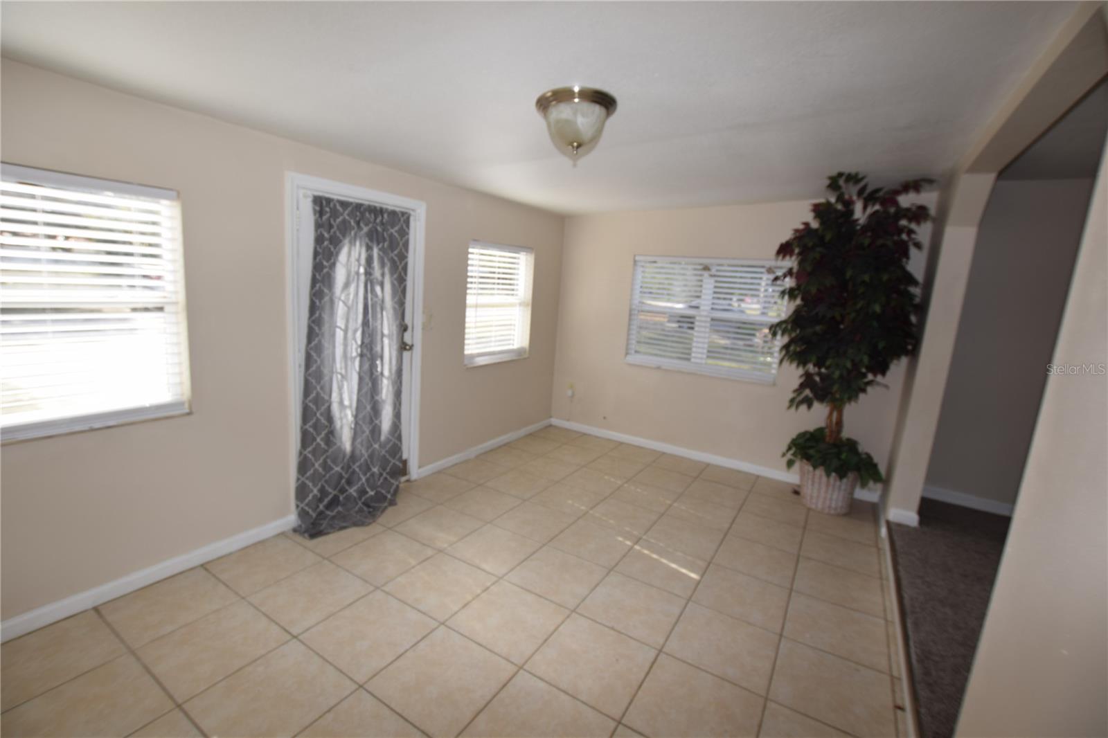 317 E BARNES AVE, EUSTIS, FL, 32726