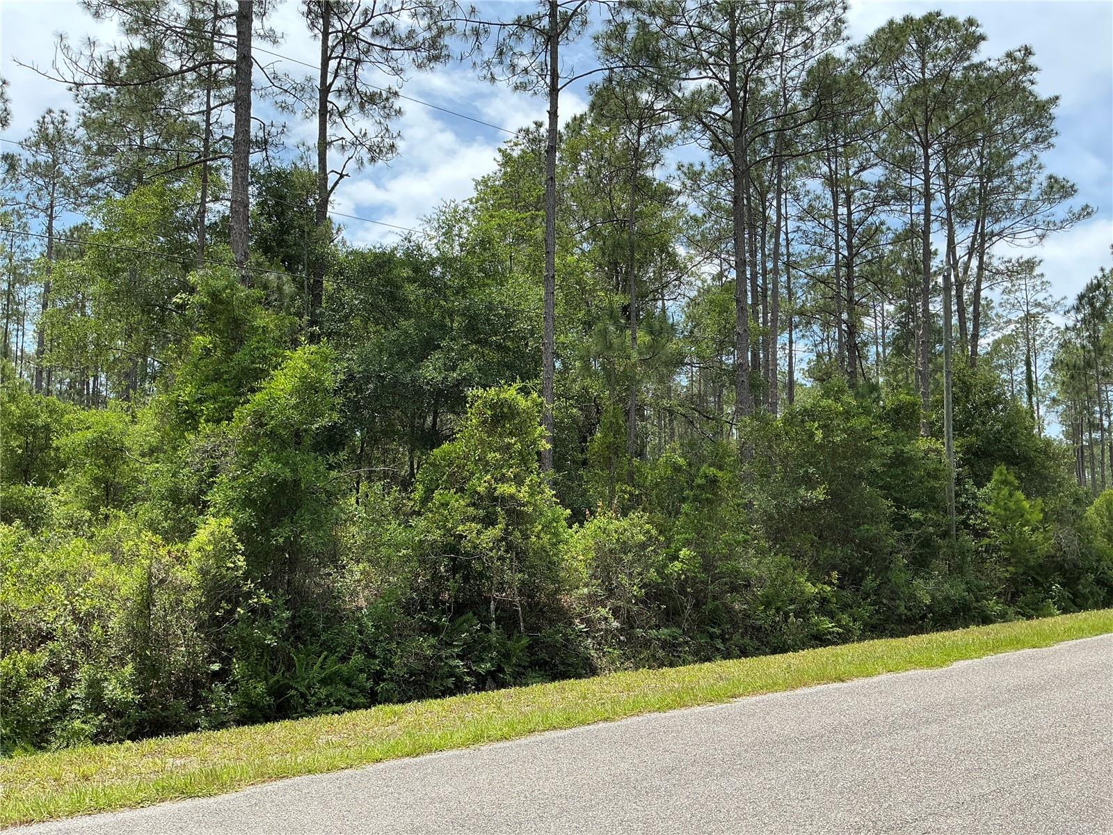 4365 VICKI ST, HASTINGS, FL, 32145