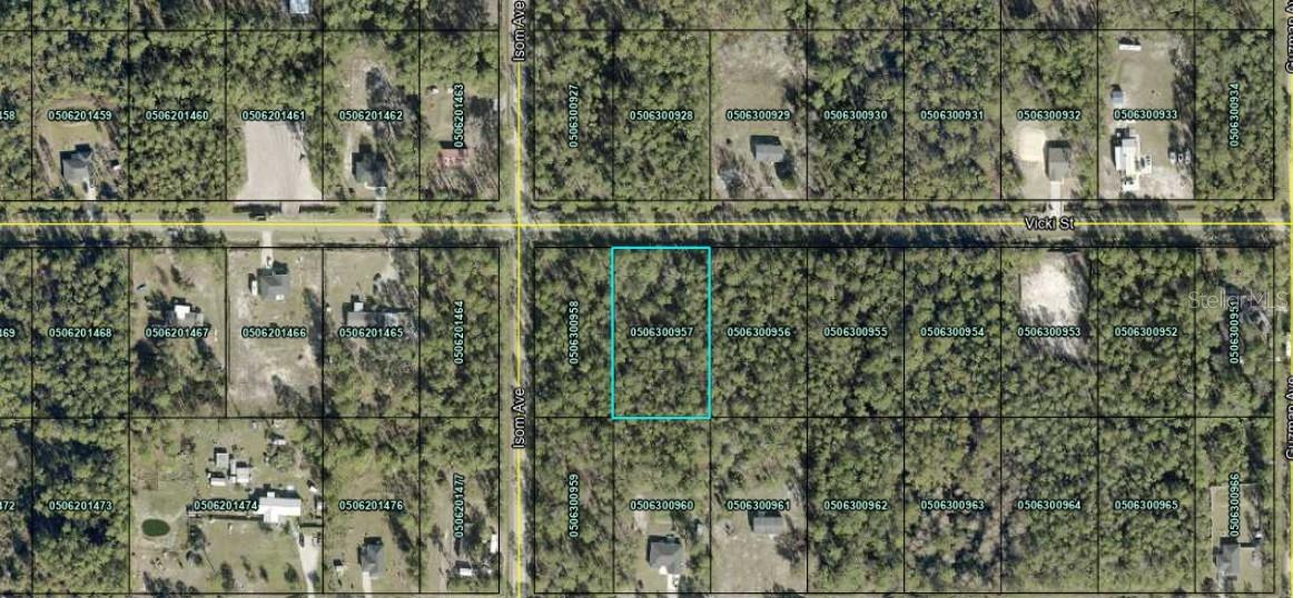 4365 VICKI ST, HASTINGS, FL, 32145