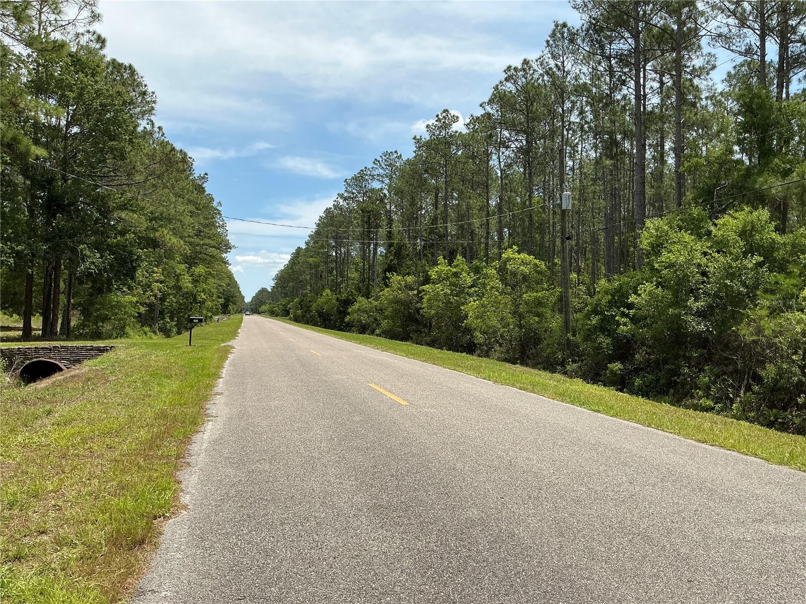 4365 VICKI ST, HASTINGS, FL, 32145