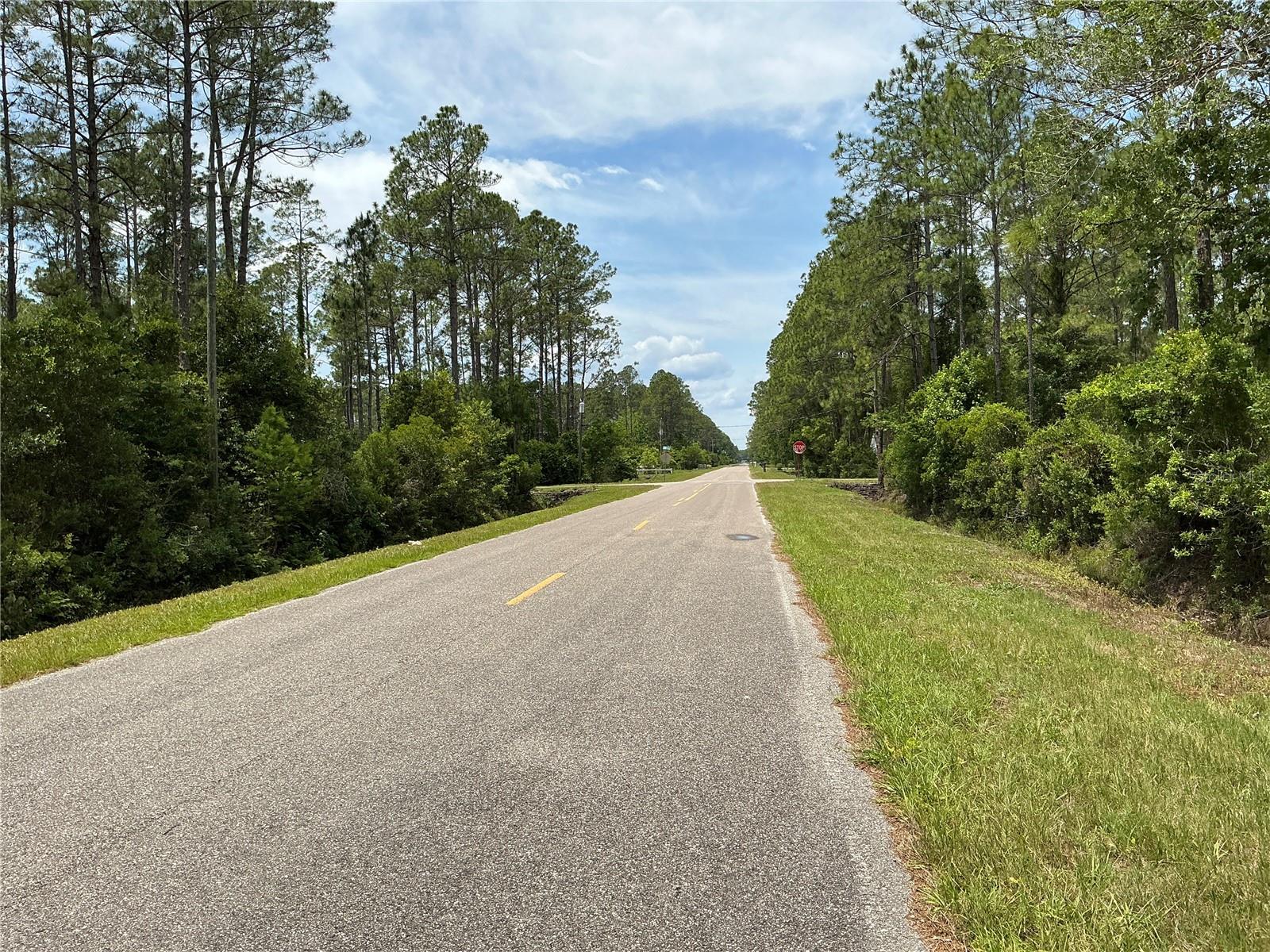 4365 VICKI ST, HASTINGS, FL, 32145