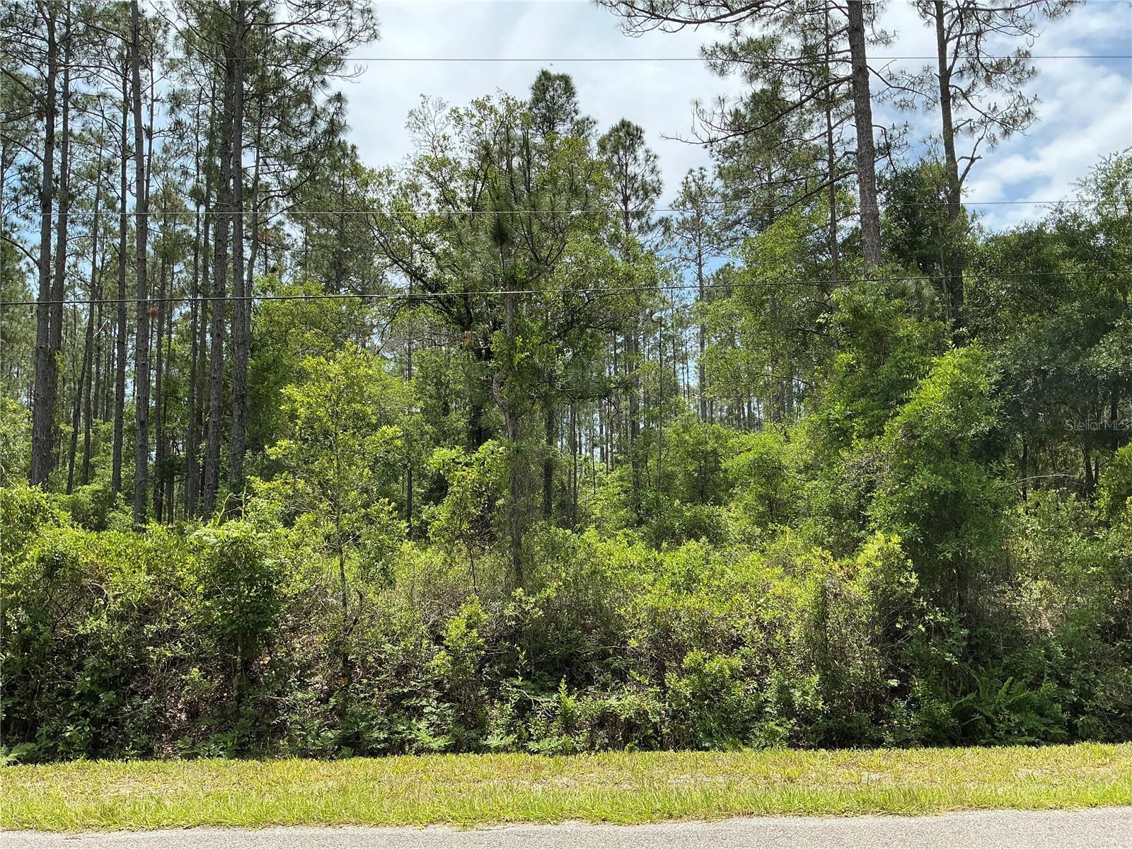 4365 VICKI ST, HASTINGS, FL, 32145