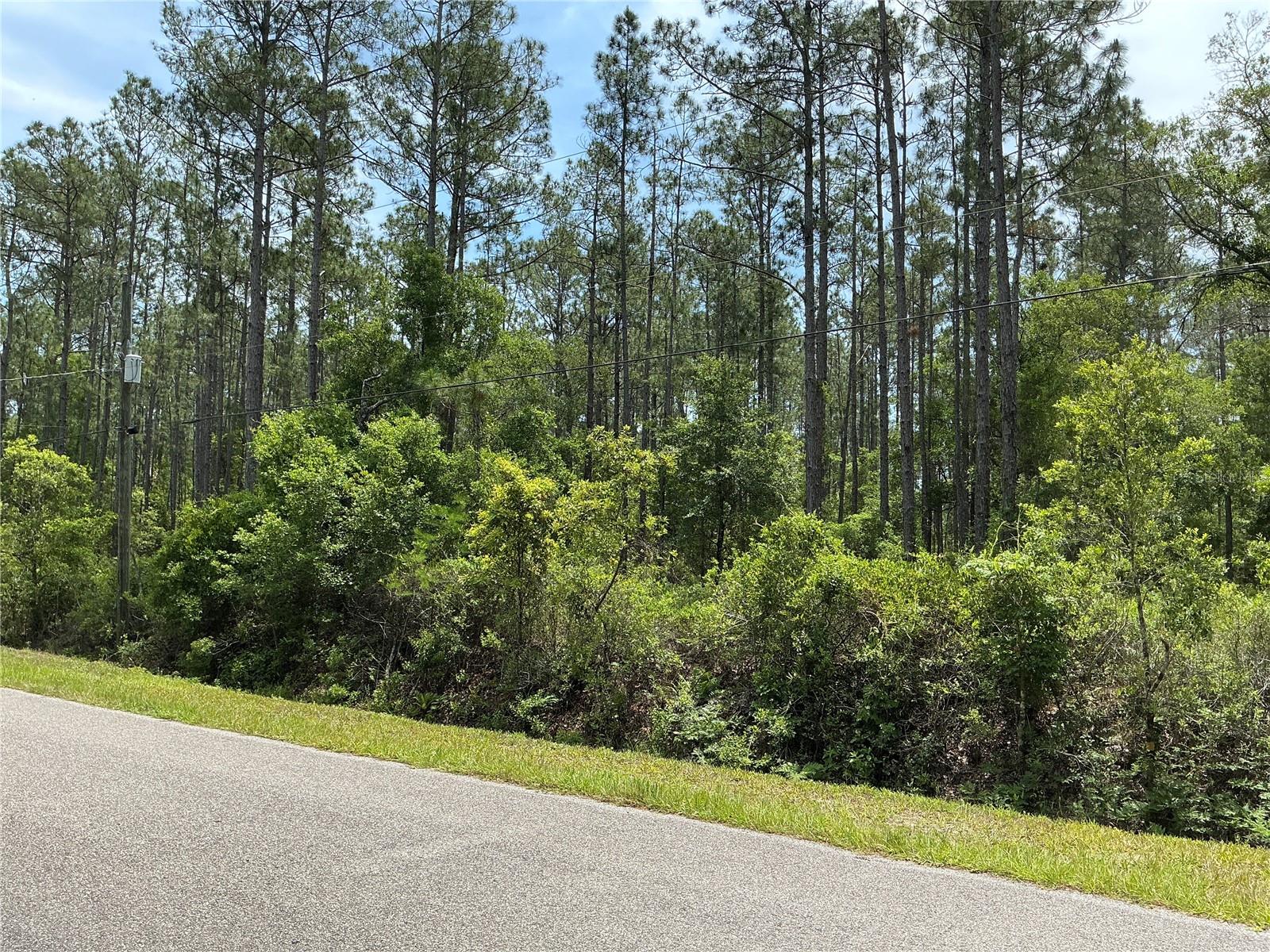 4365 VICKI ST, HASTINGS, FL, 32145