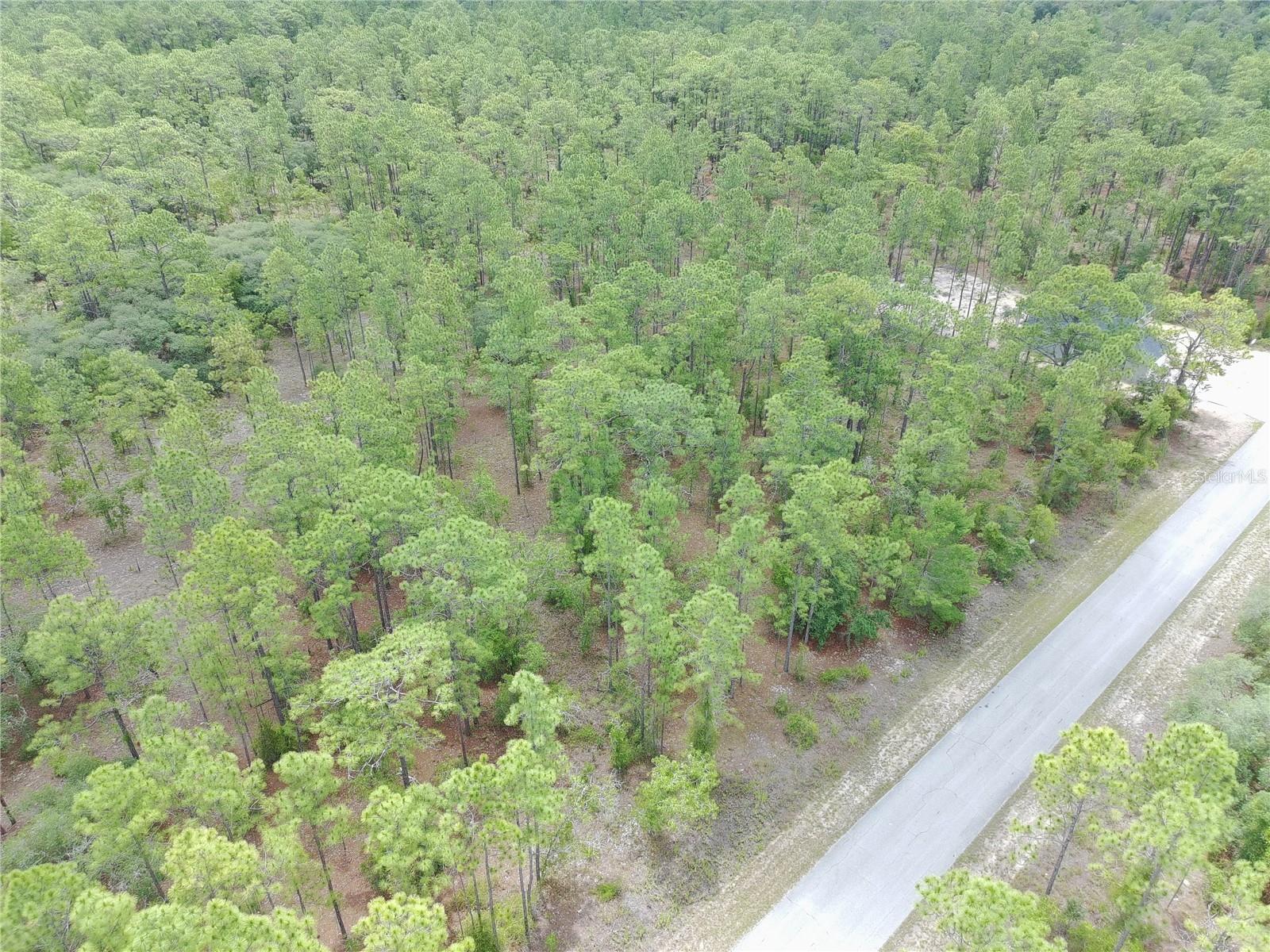 SW BUENA VISTA RD, DUNNELLON, FL, 34431