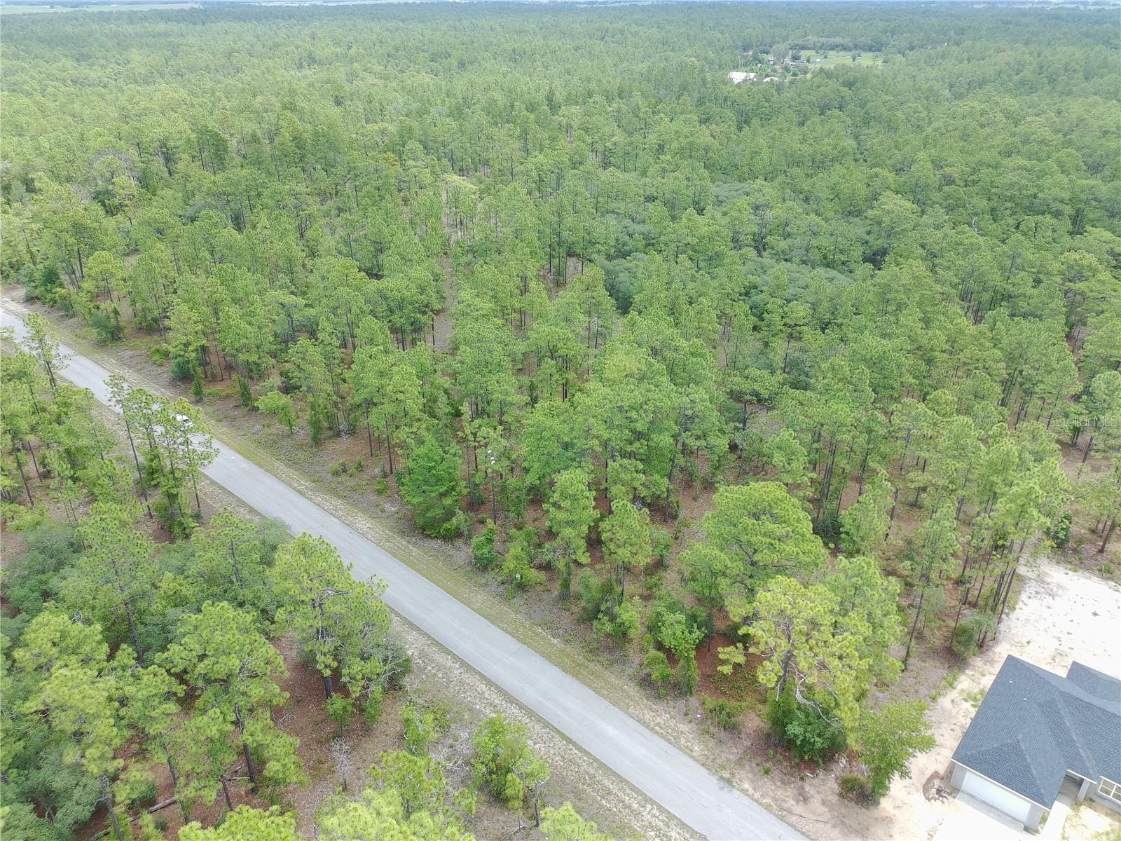 SW BUENA VISTA RD, DUNNELLON, FL, 34431