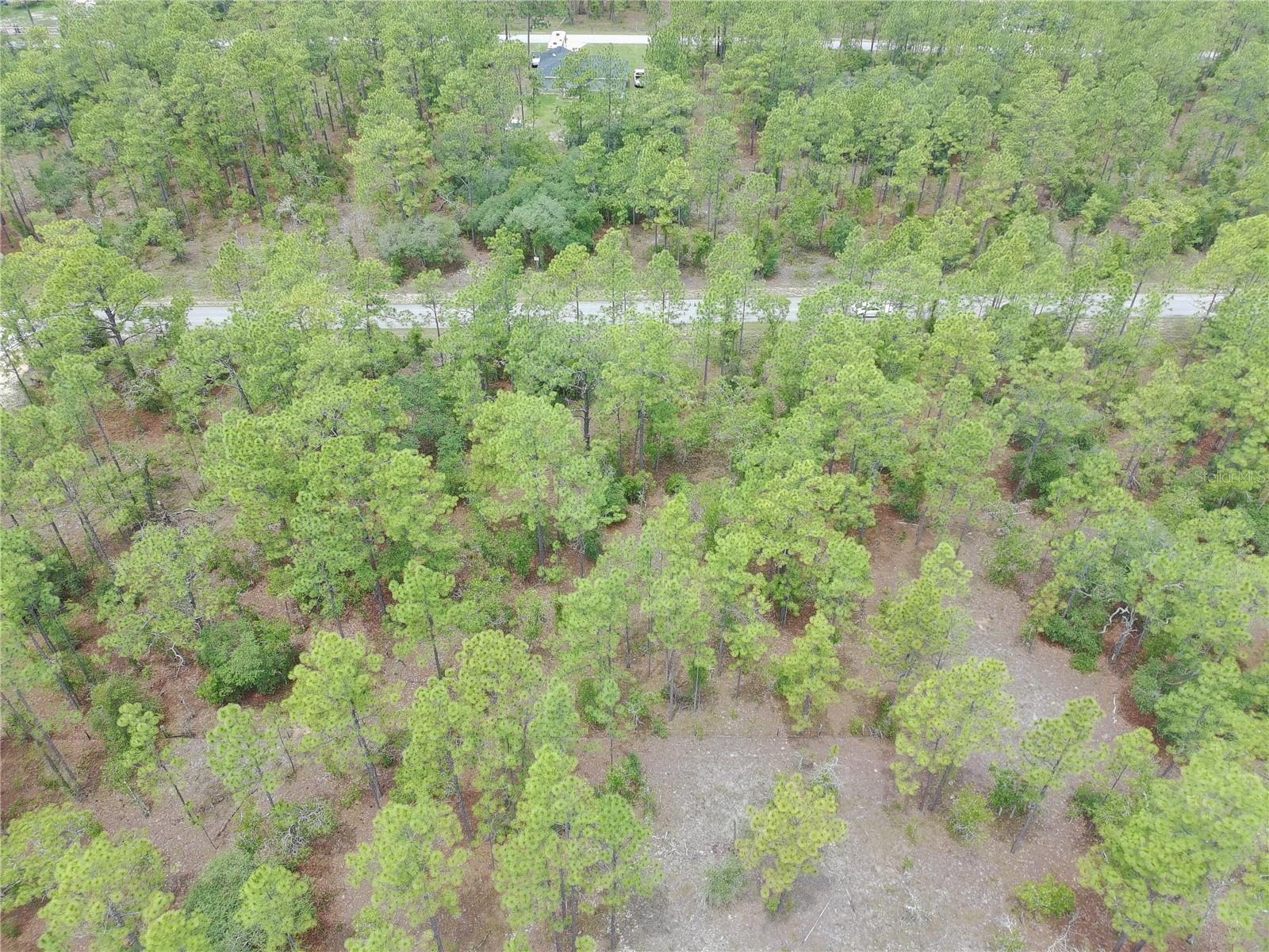 SW BUENA VISTA RD, DUNNELLON, FL, 34431