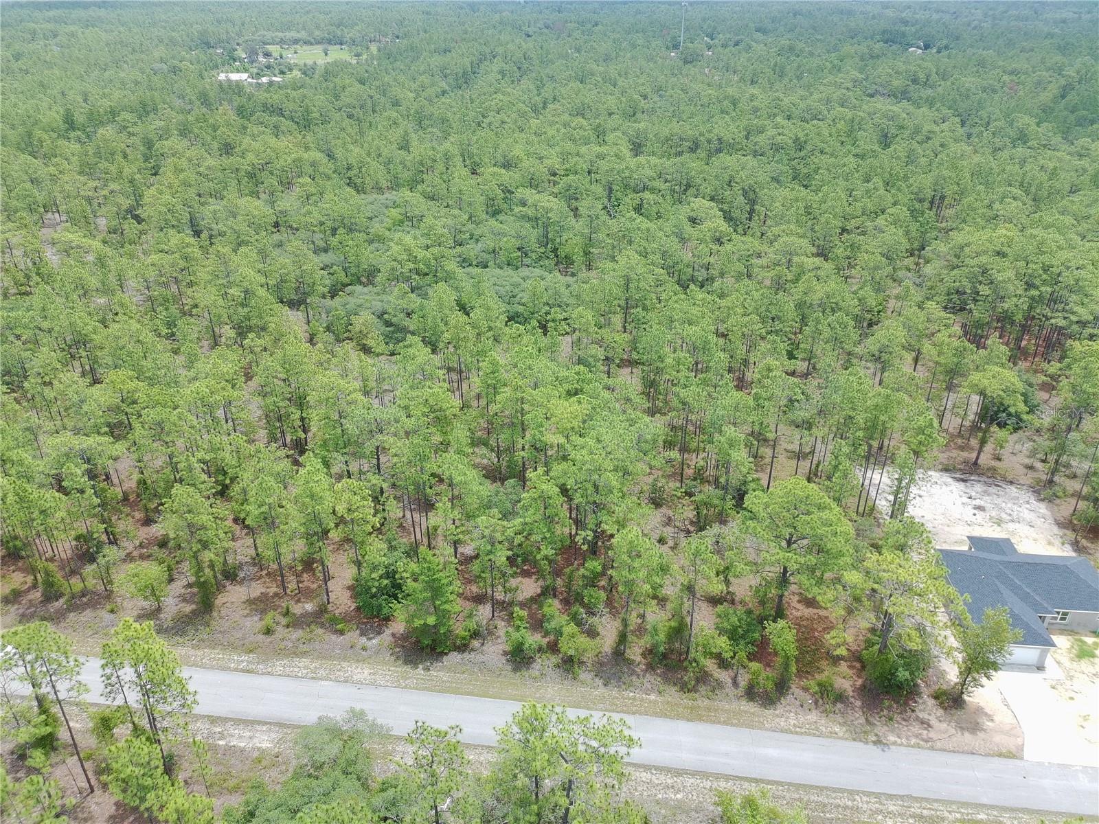 SW BUENA VISTA RD, DUNNELLON, FL, 34431