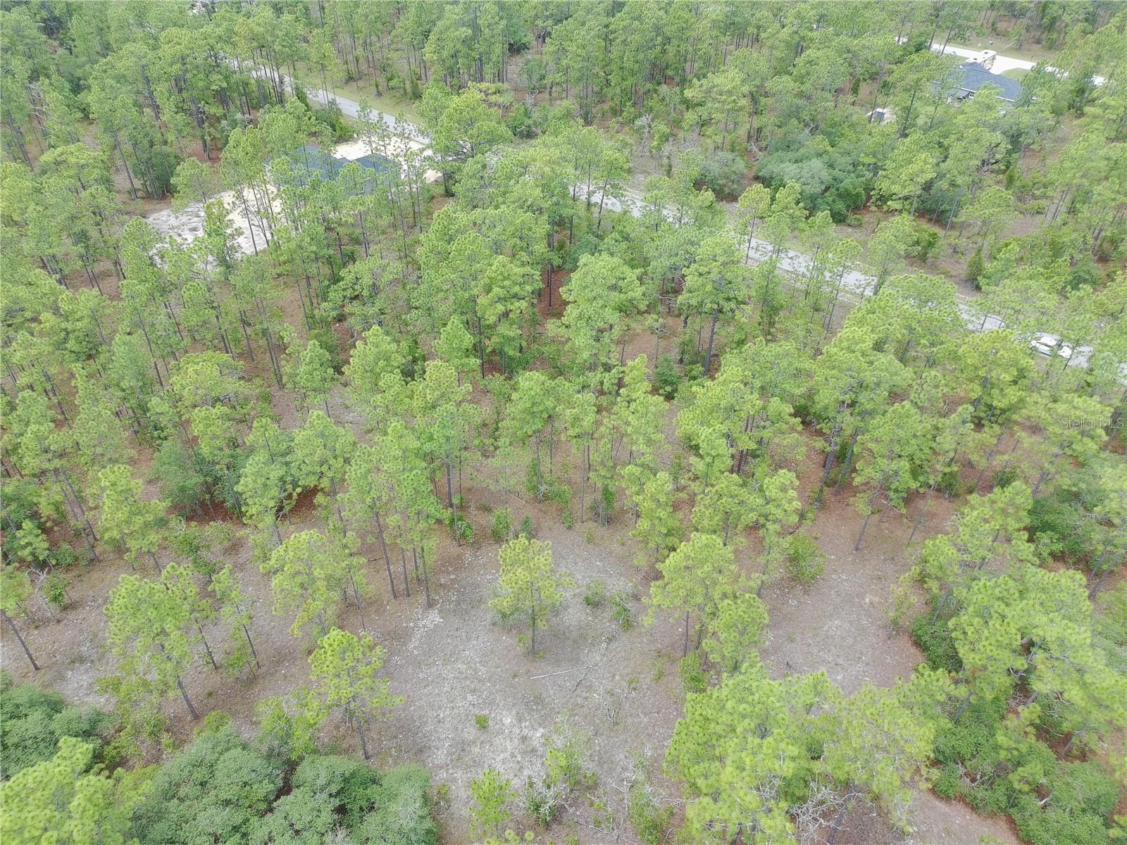 SW BUENA VISTA RD, DUNNELLON, FL, 34431