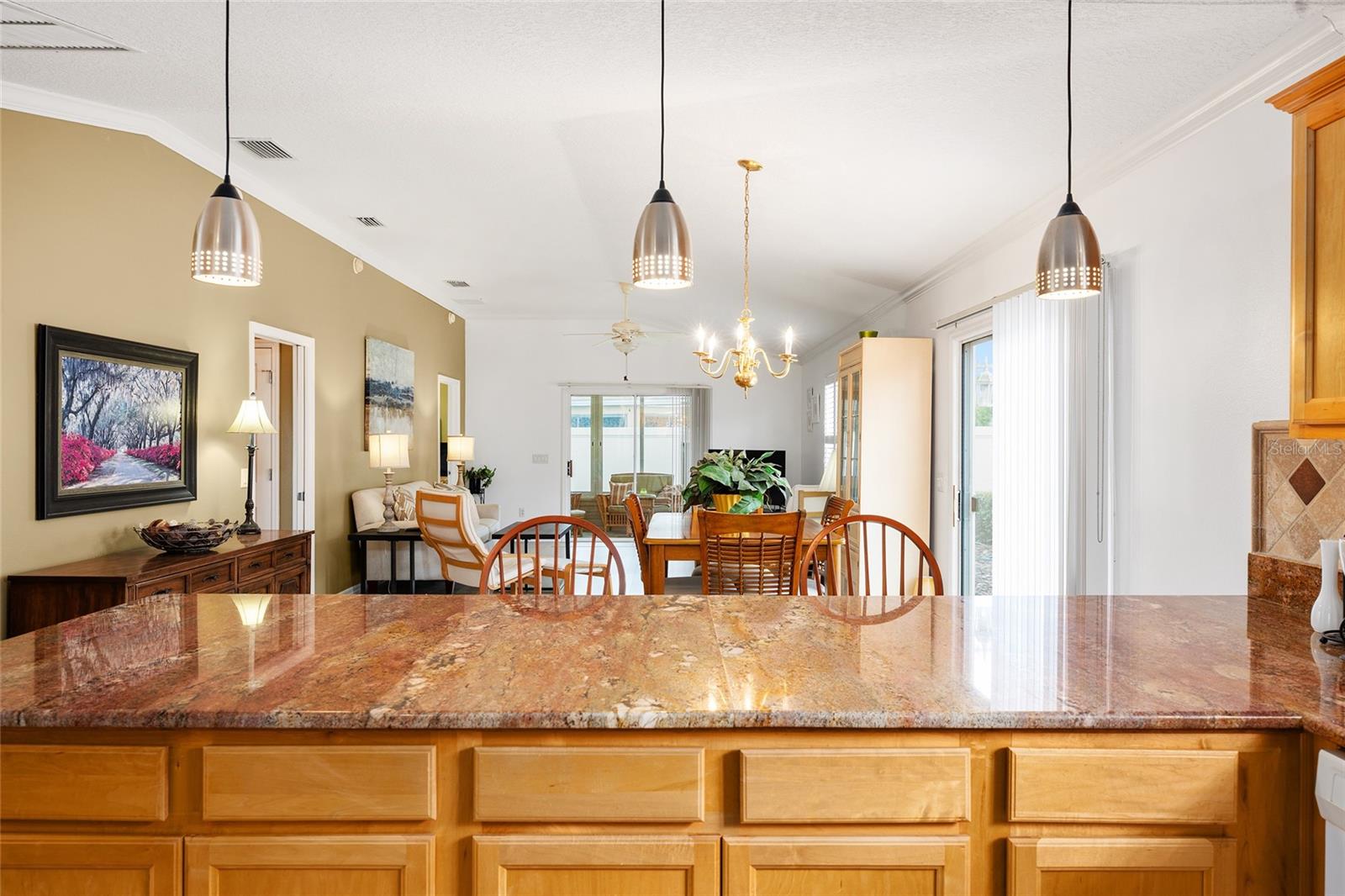 507 PAXVILLE PL, THE VILLAGES, FL, 32162