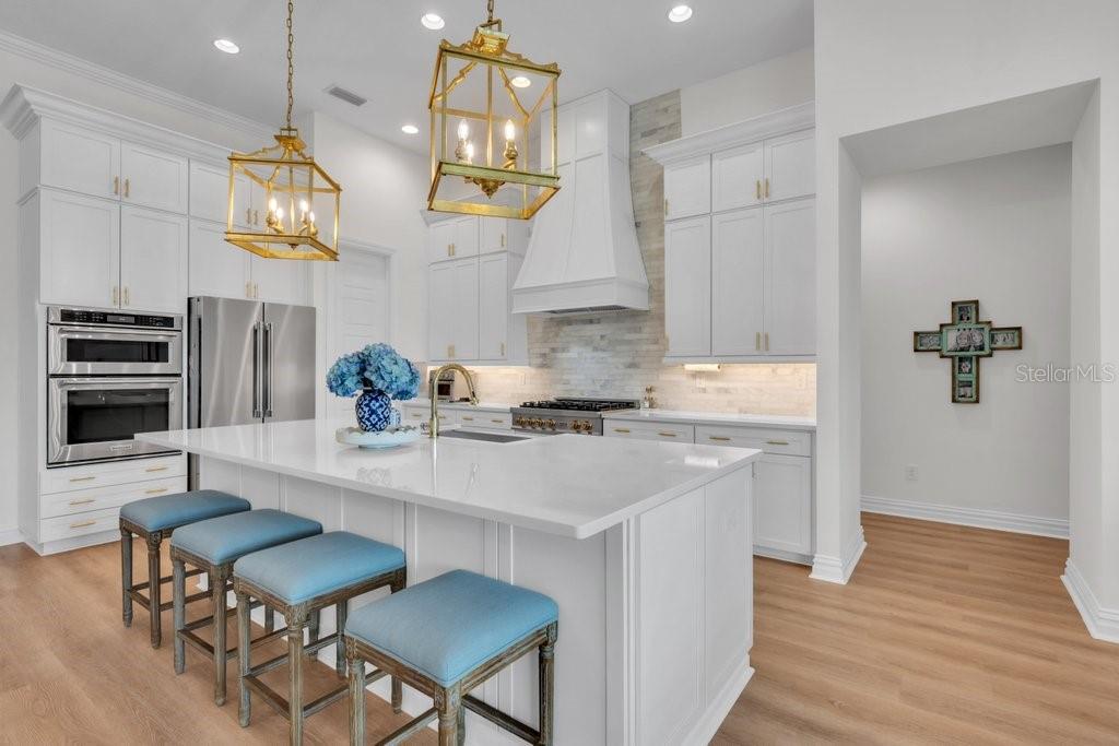 5201 ALAFIA FALLS DR, LITHIA, FL, 33547