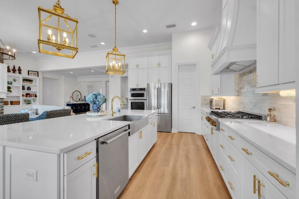 5201 ALAFIA FALLS DR, LITHIA, FL, 33547