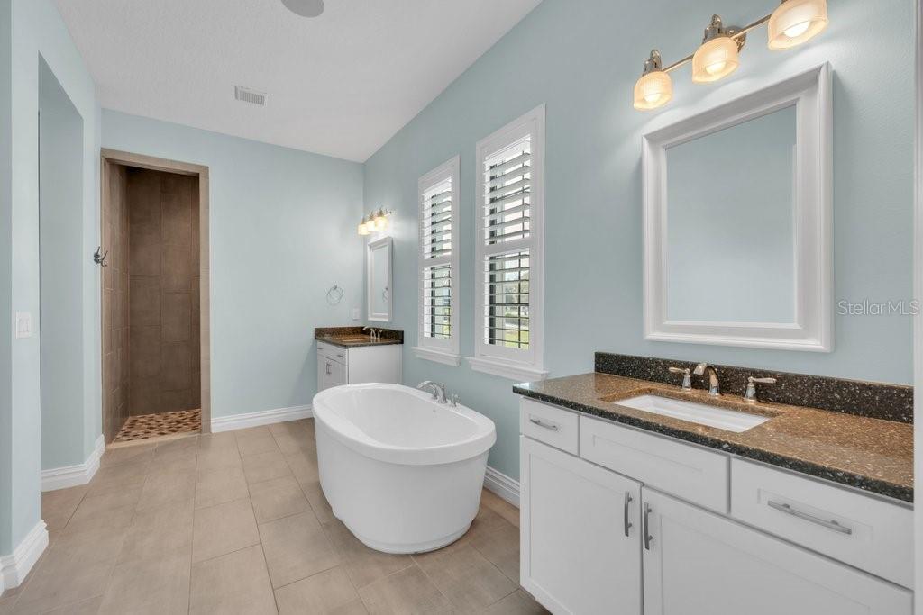 5201 ALAFIA FALLS DR, LITHIA, FL, 33547
