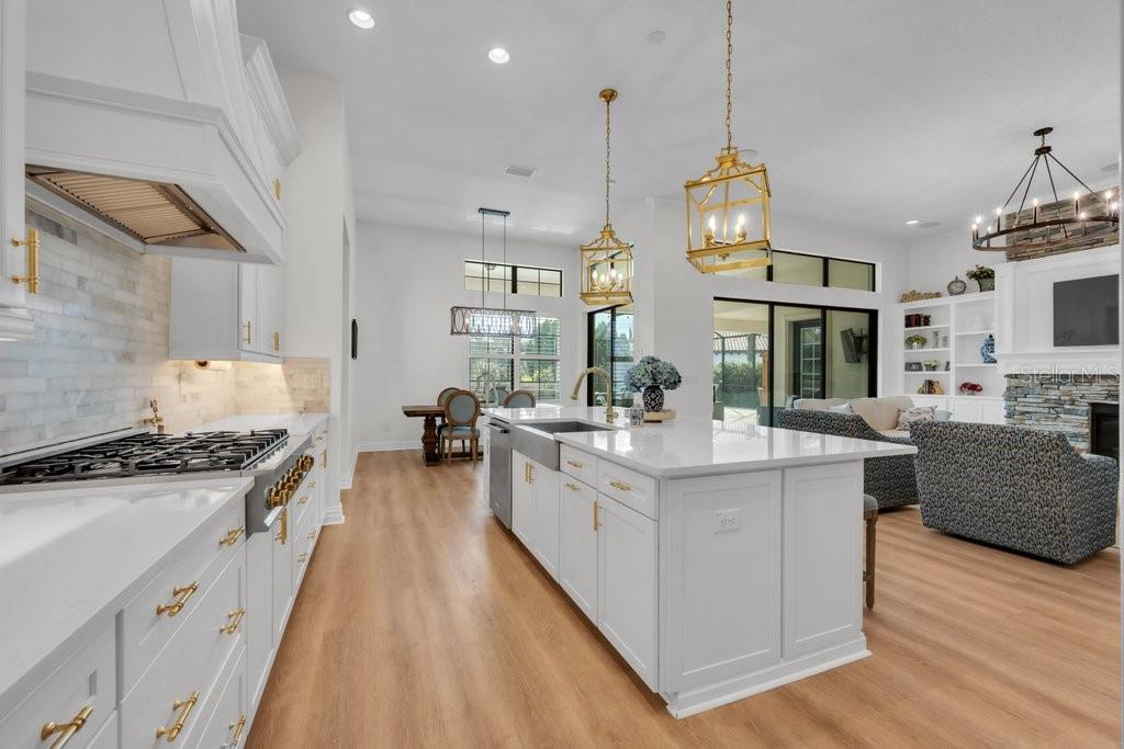 5201 ALAFIA FALLS DR, LITHIA, FL, 33547