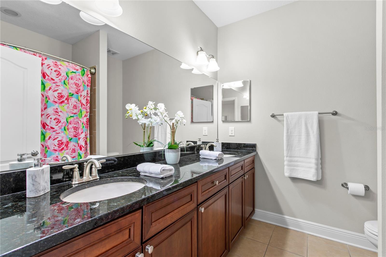 4309 W VASCONIA ST, TAMPA, FL, 33629