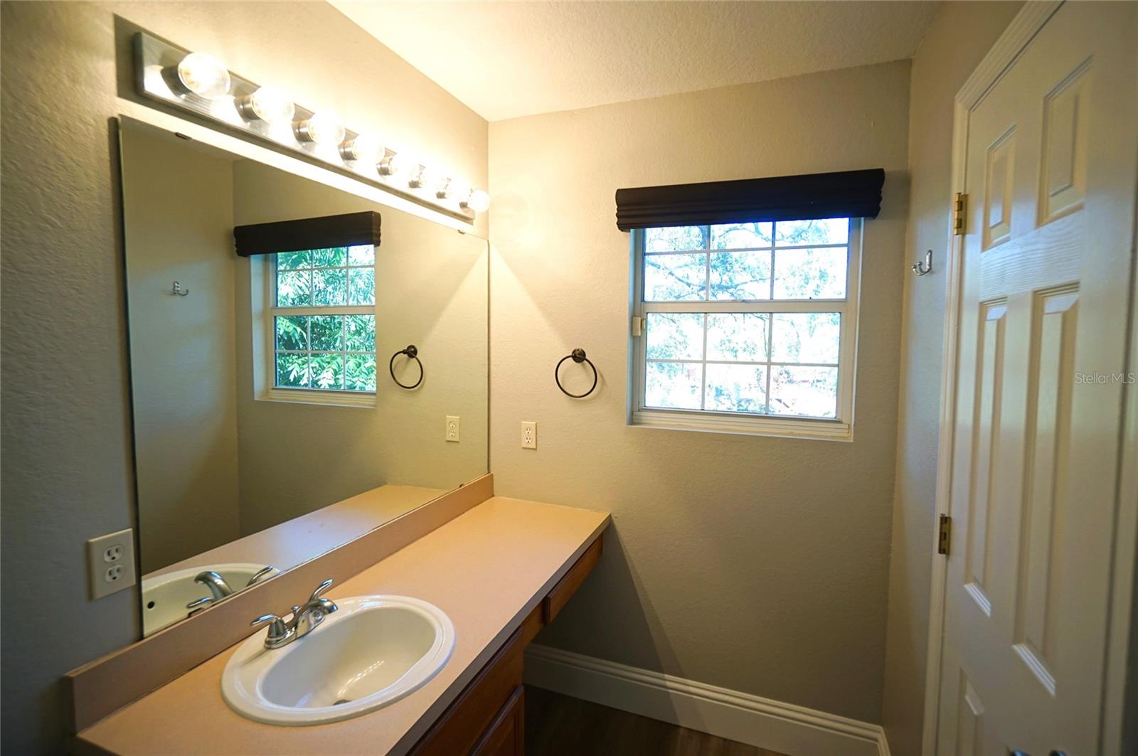 317 W HANLON ST, TAMPA, FL, 33604