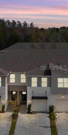 4212 CLOUD HOPPER WAY, LUTZ, FL, 33559