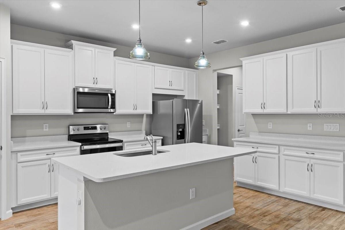 4212 CLOUD HOPPER WAY, LUTZ, FL, 33559