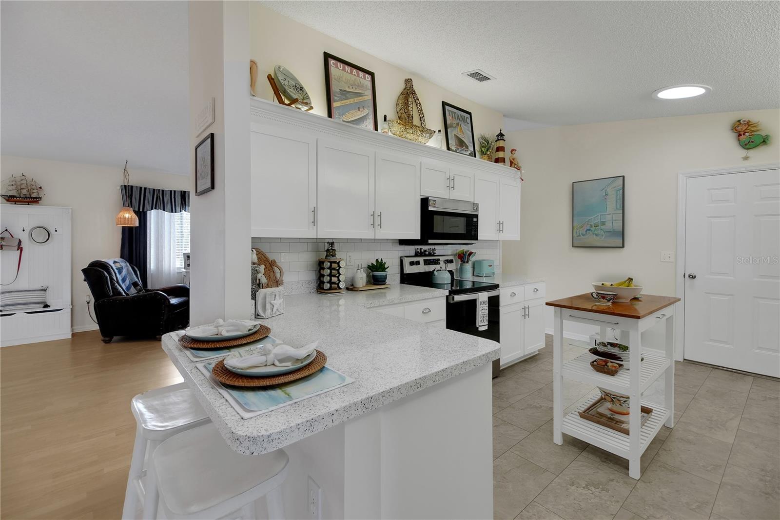 10608 SE 174TH LOOP, SUMMERFIELD, FL, 34491