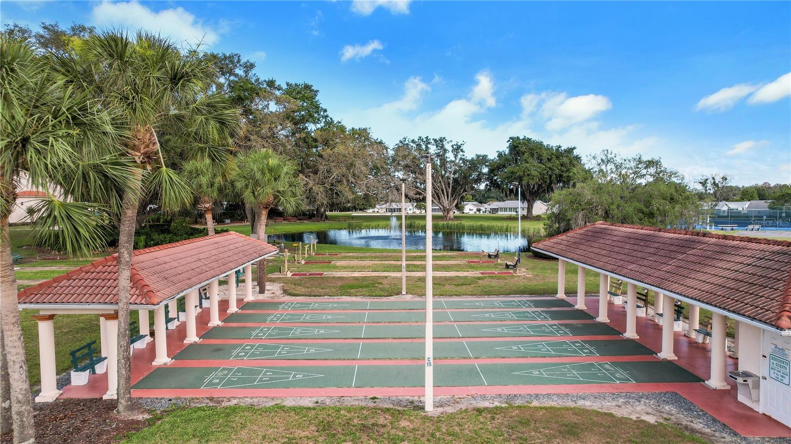 10608 SE 174TH LOOP, SUMMERFIELD, FL, 34491