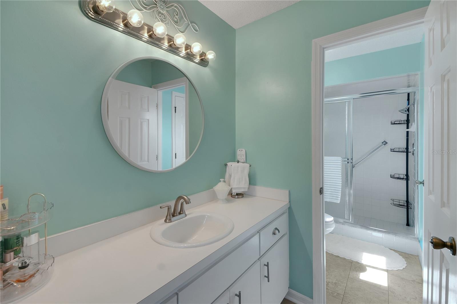 10608 SE 174TH LOOP, SUMMERFIELD, FL, 34491