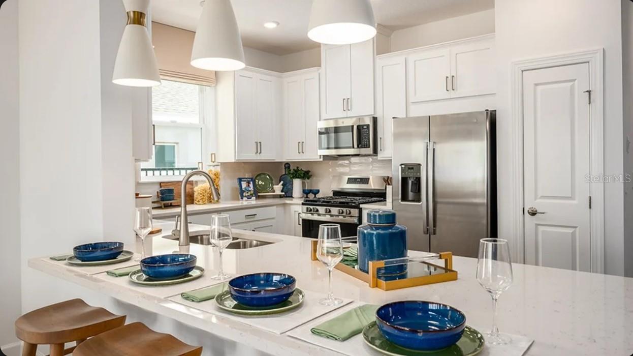 11291 SILVER TRUMPET LOOP, WINTER GARDEN, FL, 34787