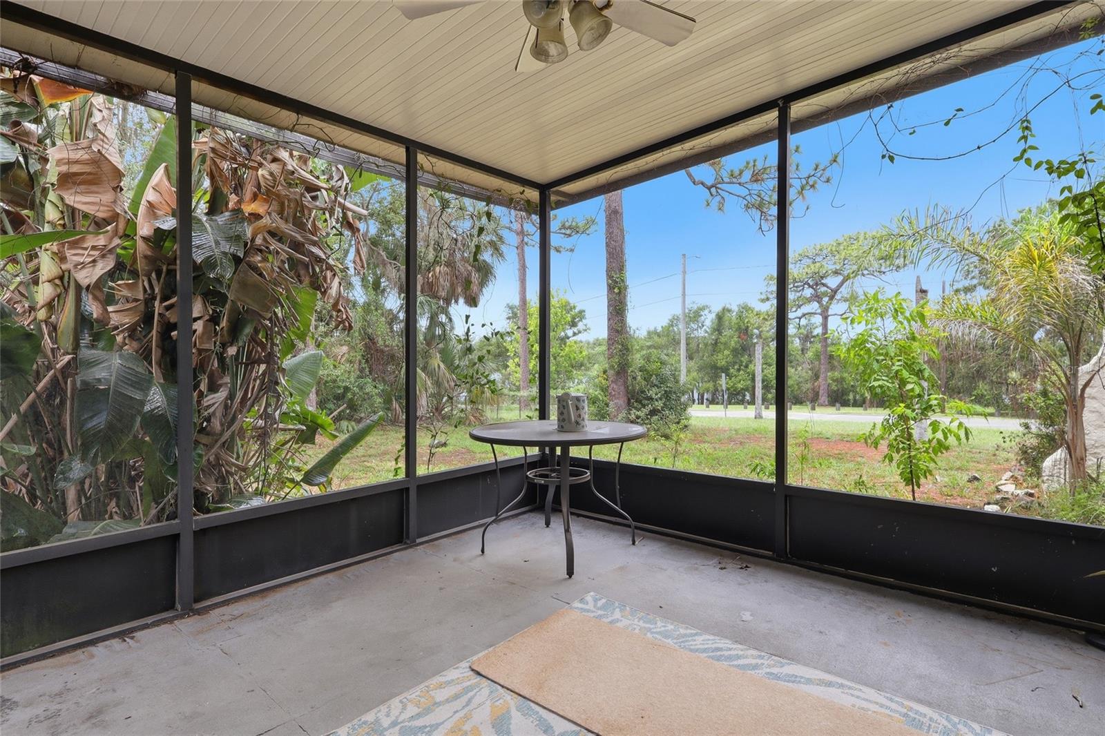 8115 N 37TH ST, TAMPA, FL, 33604
