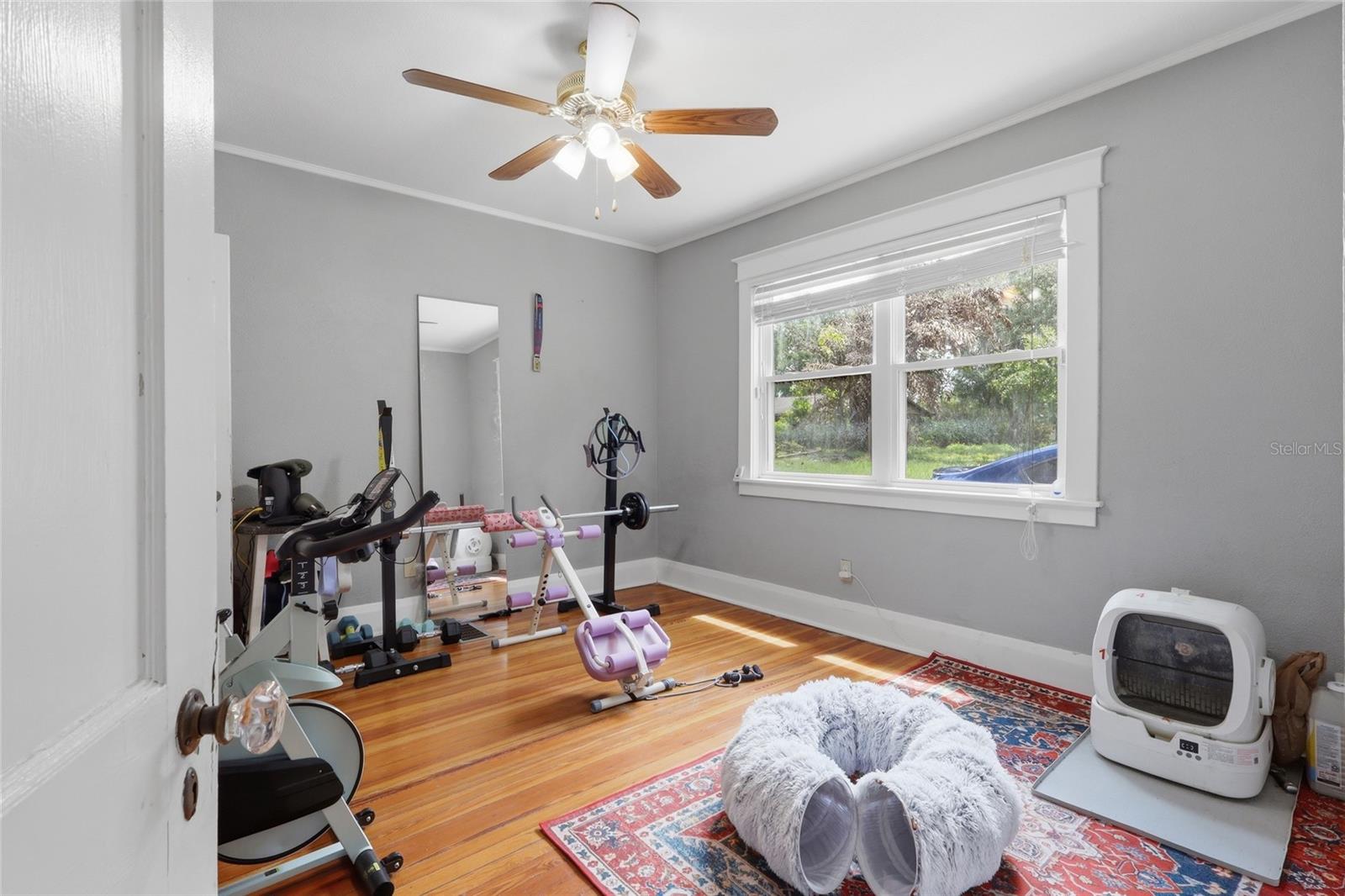 8115 N 37TH ST, TAMPA, FL, 33604