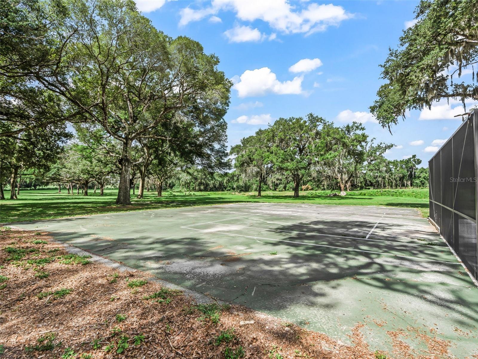 10660 E BUSHNELL RD, FLORAL CITY, FL, 34436