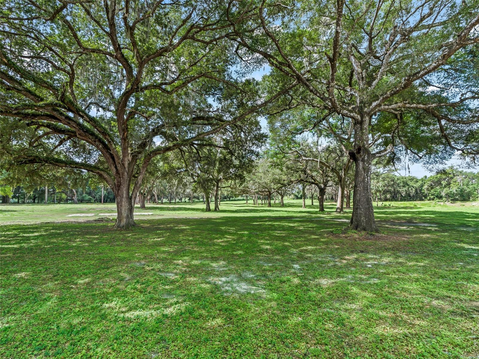 10660 E BUSHNELL RD, FLORAL CITY, FL, 34436