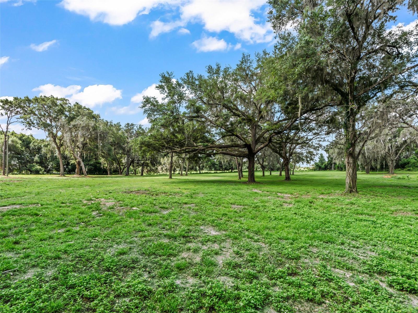 10660 E BUSHNELL RD, FLORAL CITY, FL, 34436