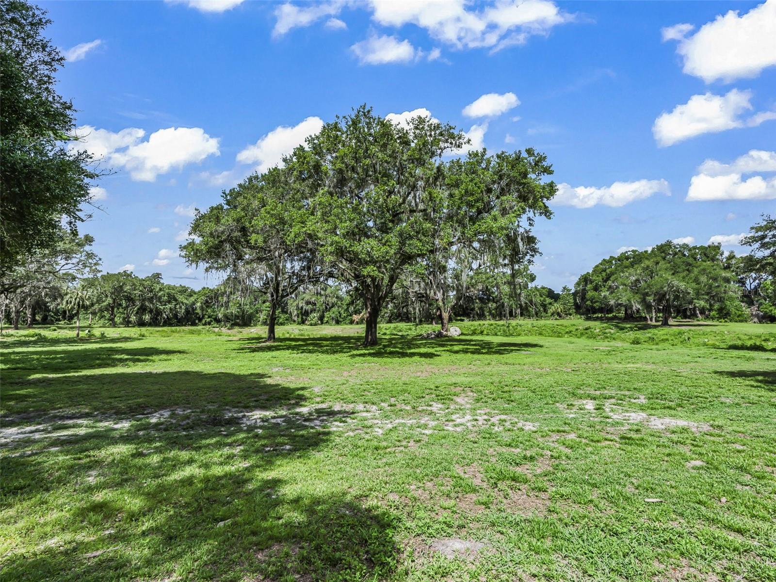 10660 E BUSHNELL RD, FLORAL CITY, FL, 34436