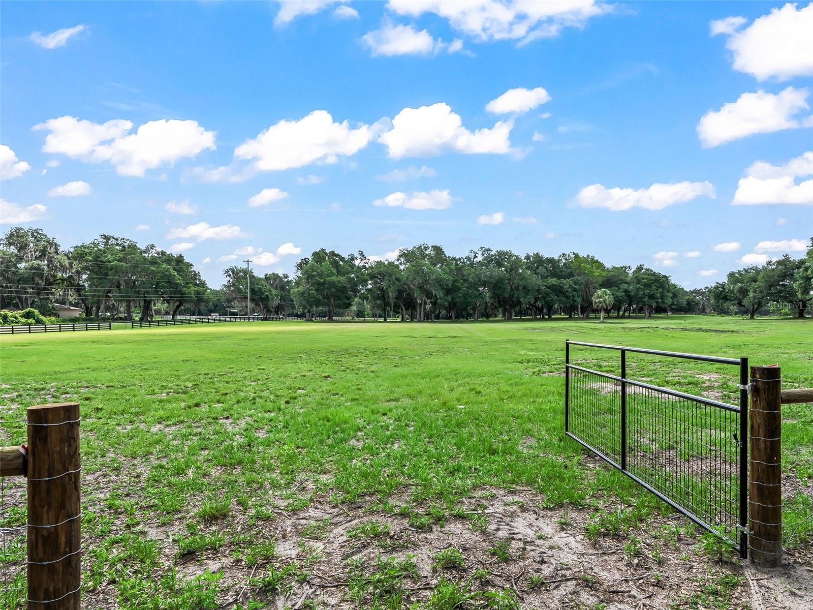 10660 E BUSHNELL RD, FLORAL CITY, FL, 34436