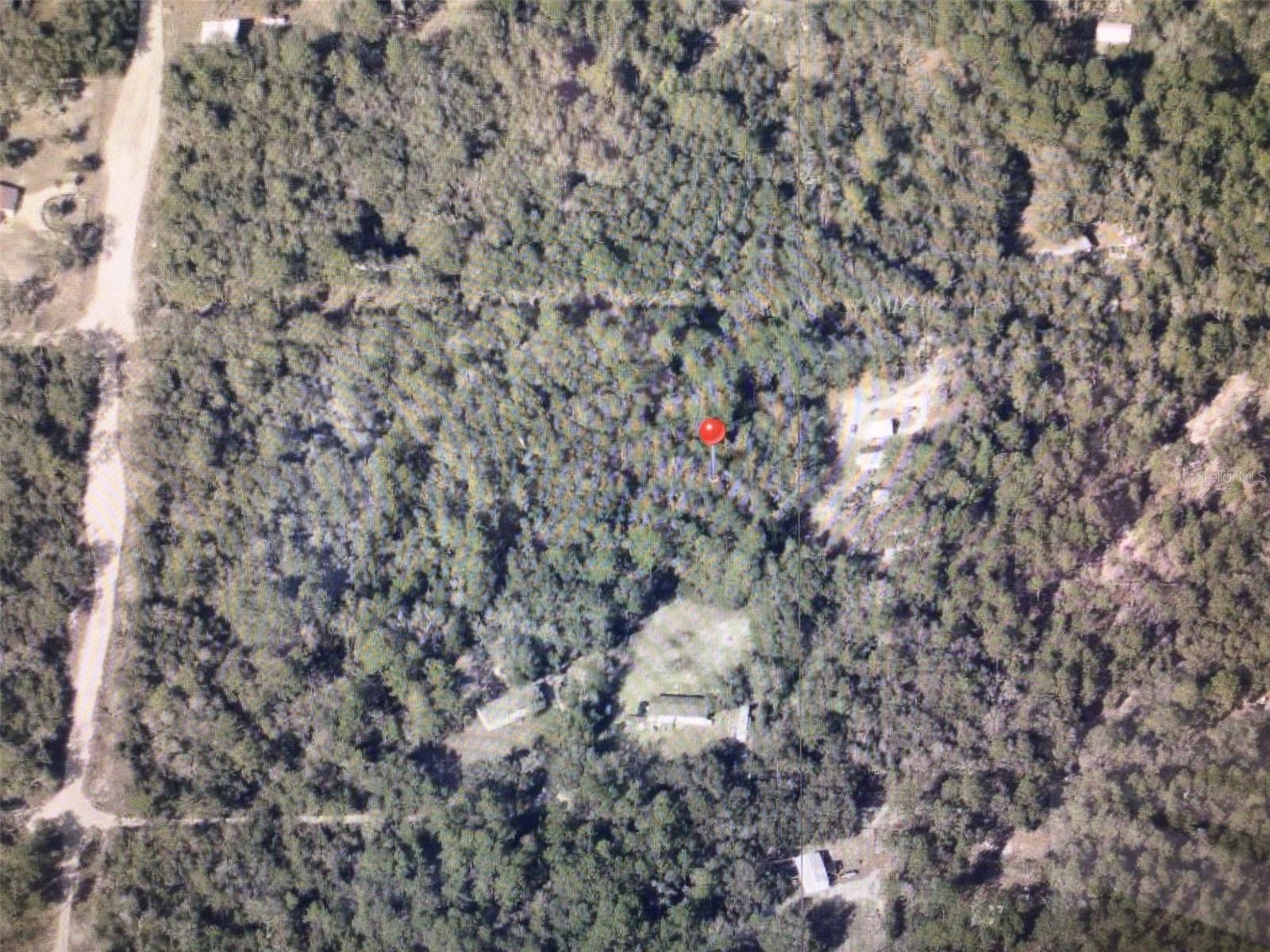 0 SW 156 PL, DUNNELLON, FL, 34432